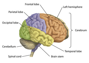 improve memory